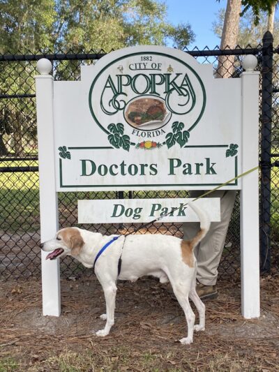 Doctors' Dog Park - Apopka, FL