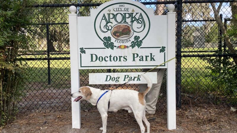 Doctors' Dog Park - Apopka, FL