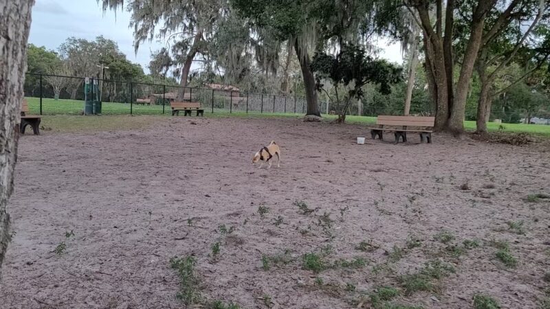 Doctors' Dog Park - Apopka, FL