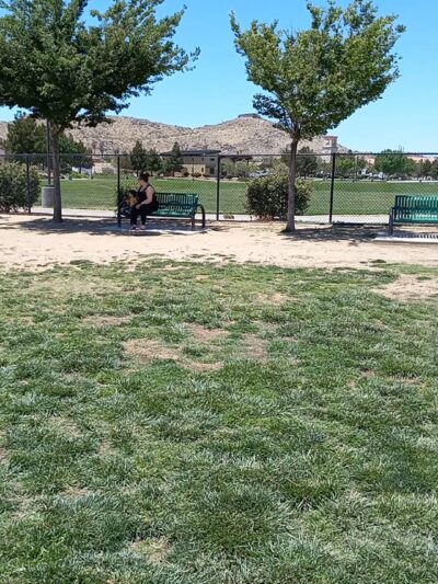 Civic Center Dog Park - Apple Valley, CA