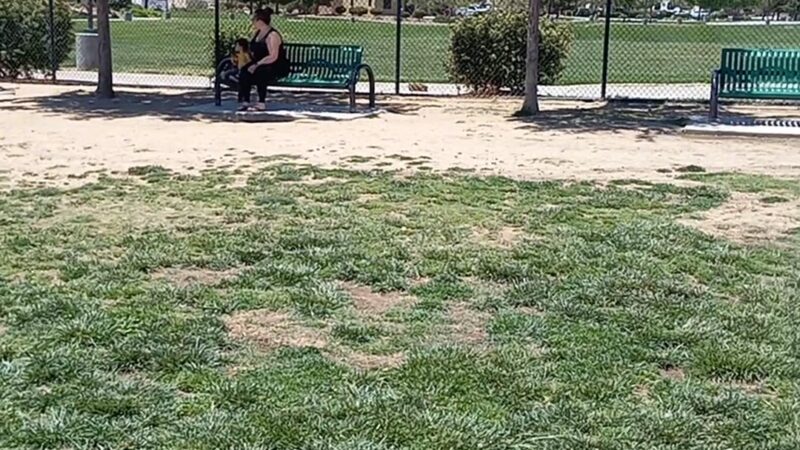 Civic Center Dog Park - Apple Valley, CA
