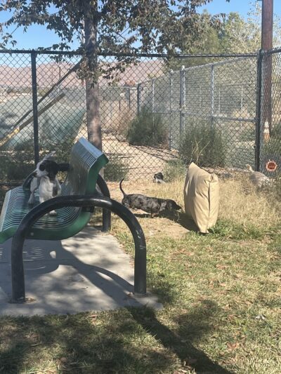 Civic Center Dog Park - Apple Valley, CA