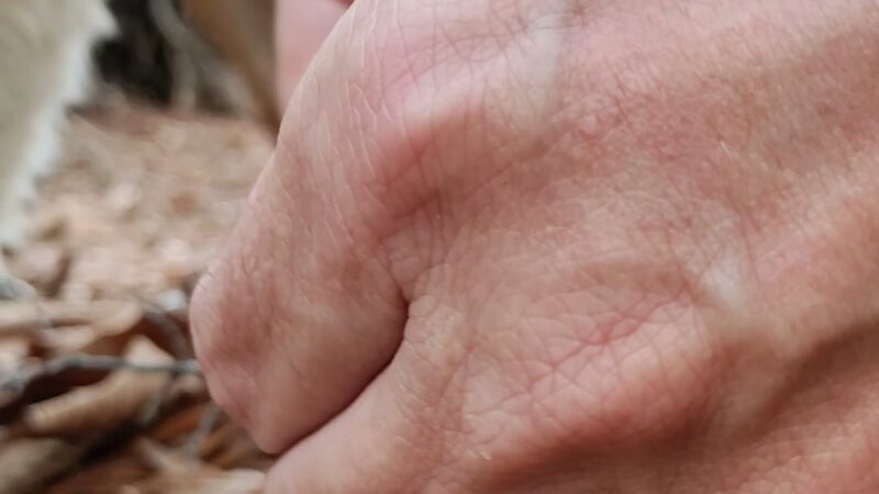 Keg Creek Trailhead - Parking Area - Appling, GA