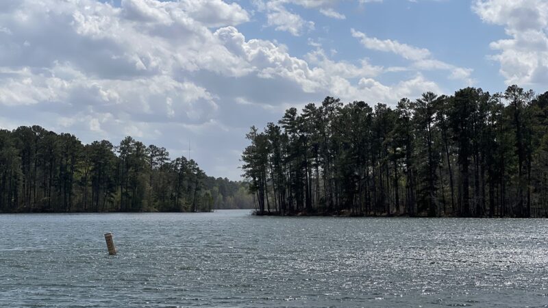 Keg Creek Trailhead - Parking Area - Appling, GA