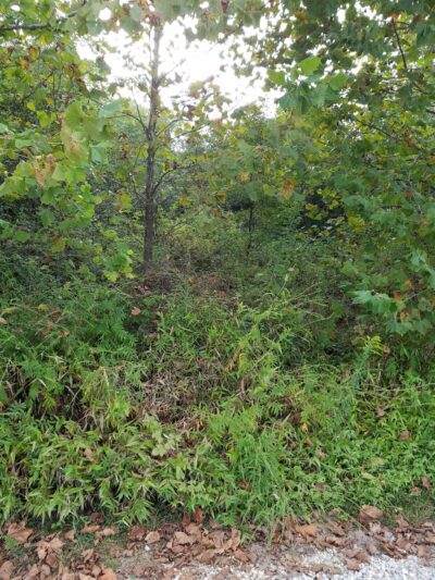 Appomattox County Community Park - Appomattox, VA