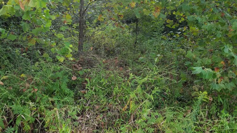 Appomattox County Community Park - Appomattox, VA