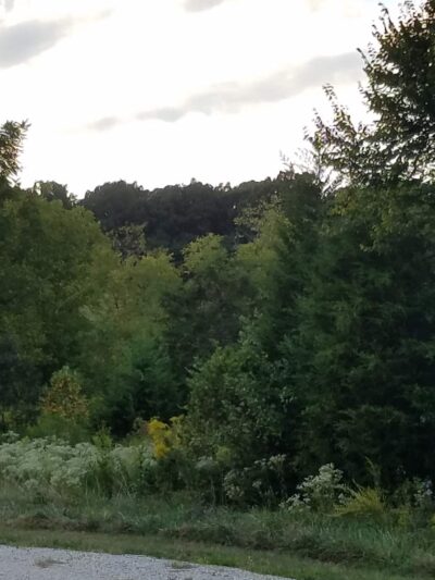 Appomattox County Community Park - Appomattox, VA