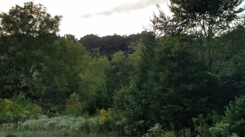 Appomattox County Community Park - Appomattox, VA