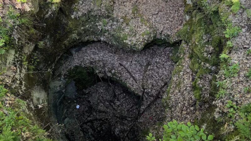 Archbald Pothole State Park - Archbald, PA