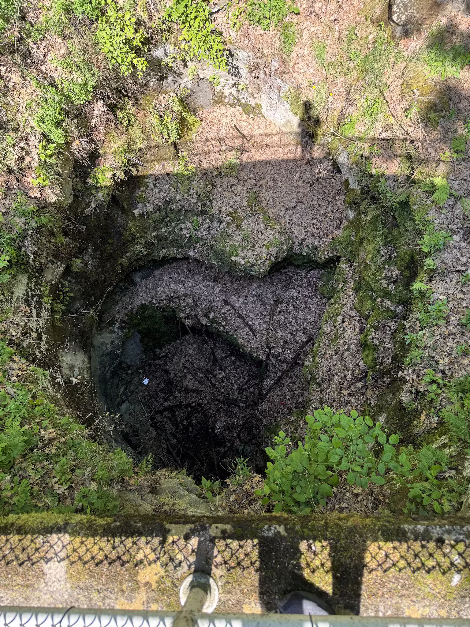Archbald Pothole State Park - Archbald, PA