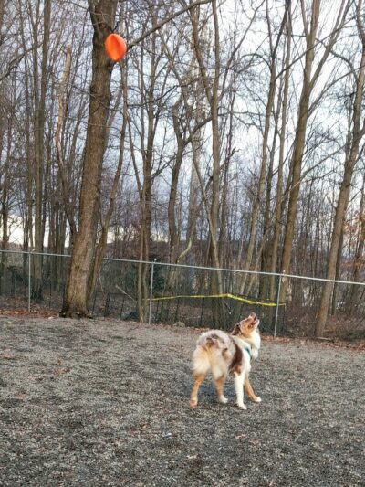 Archbald Sports Complex - Archbald, PA