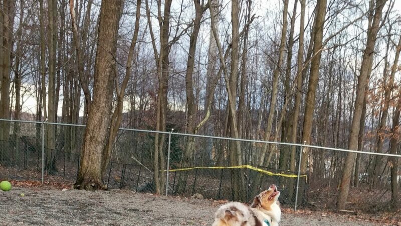 Archbald Sports Complex - Archbald, PA