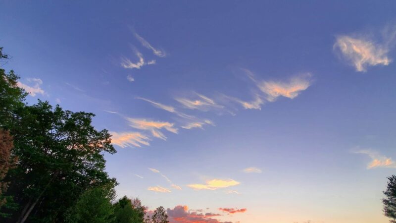 Ed Staback Memorial Park - Archbald, PA