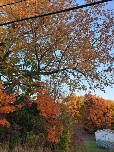 Eddie Zipay Recreation Field - Archbald, PA