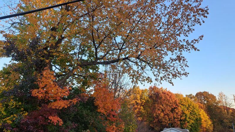 Eddie Zipay Recreation Field - Archbald, PA