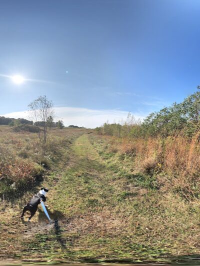 Trail Head - Archbald, PA