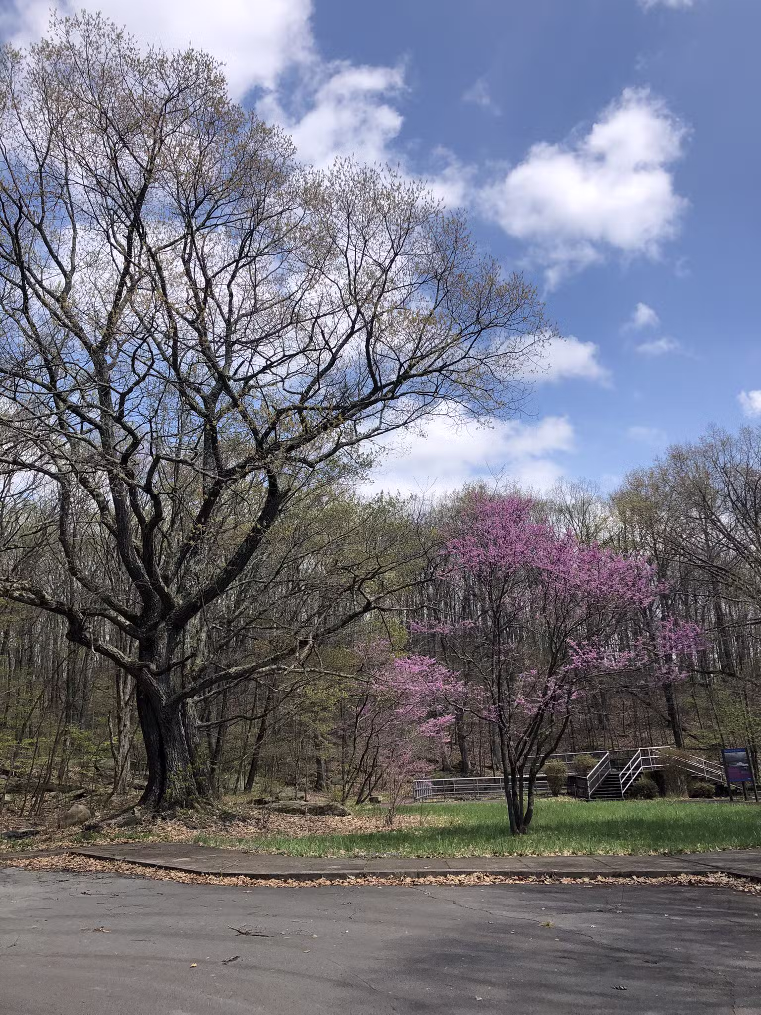 Trail Head - Archbald, PA