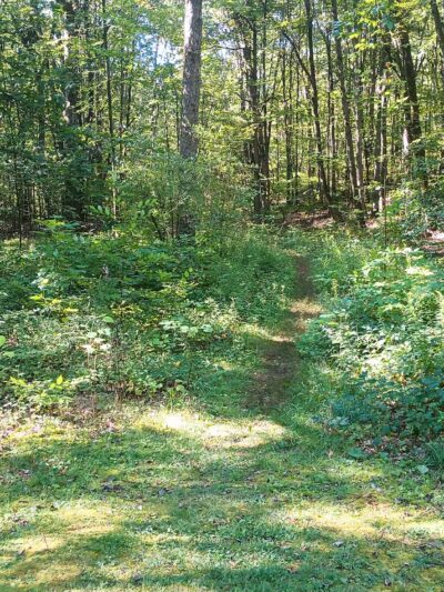 Trail Head - Archbald, PA