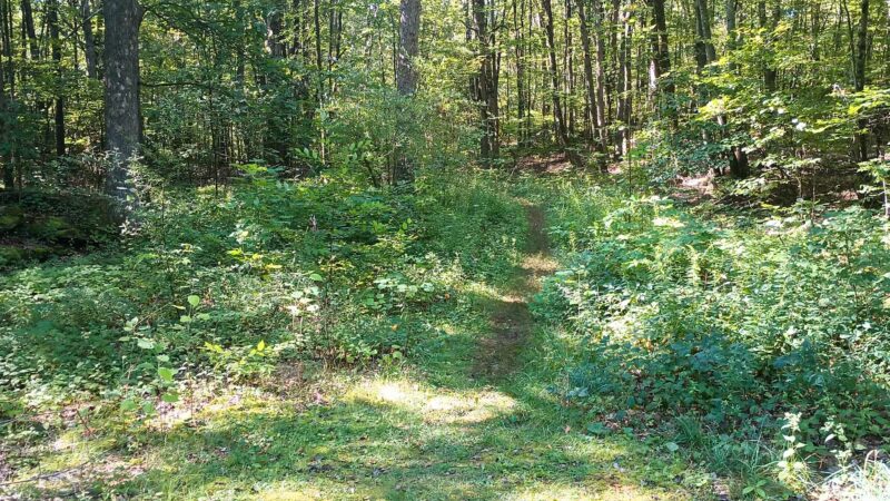 Trail Head - Archbald, PA