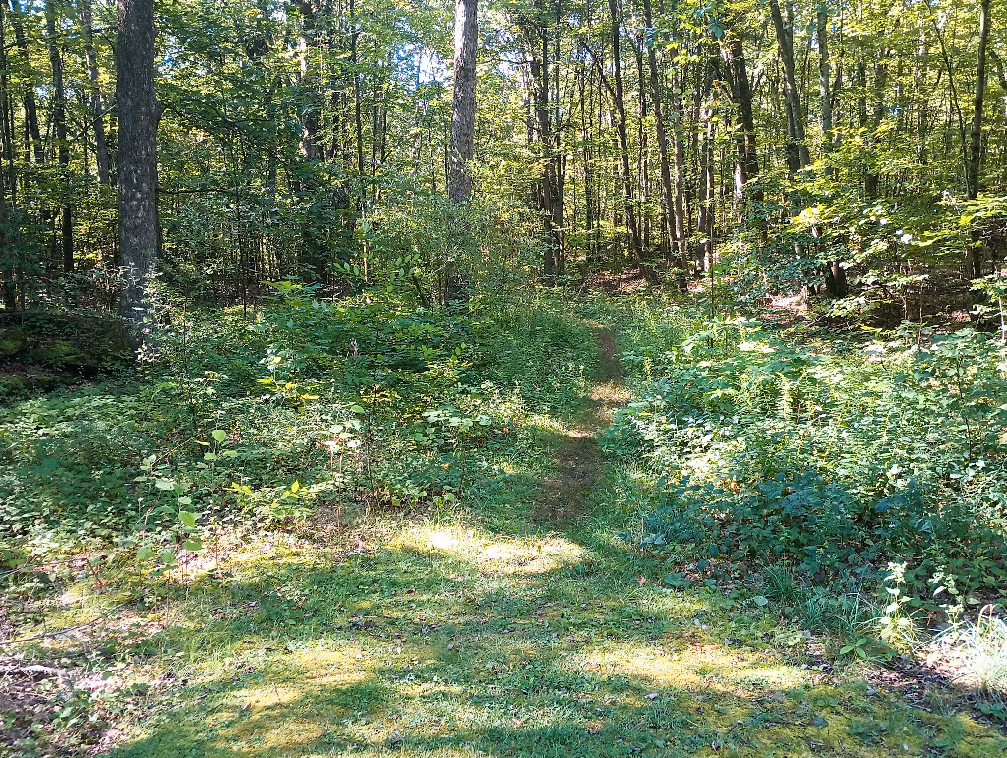 Trail Head - Archbald, PA