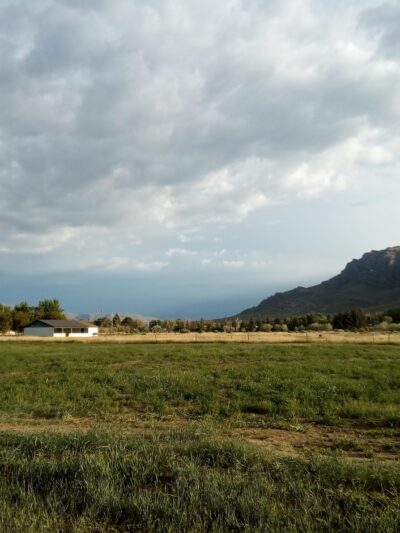 HONEYS TRUMP VOTING ROUGH CAMP - Arco, ID