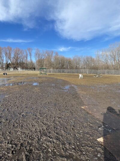 Perry Dog Park - Arden Hills, MN
