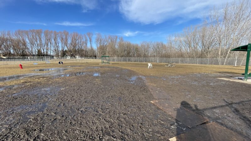 Perry Dog Park - Arden Hills, MN