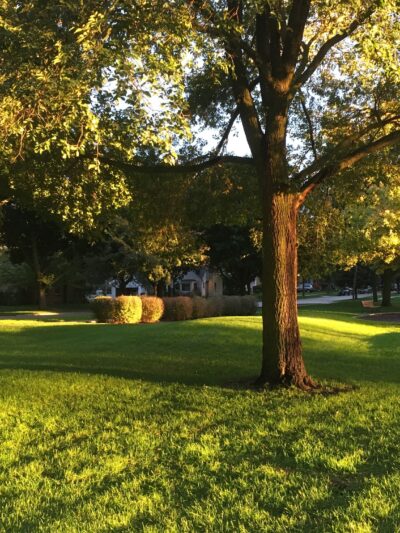 Cronin Park - Arlington Heights, IL