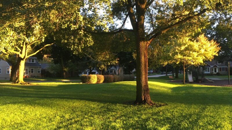 Cronin Park - Arlington Heights, IL