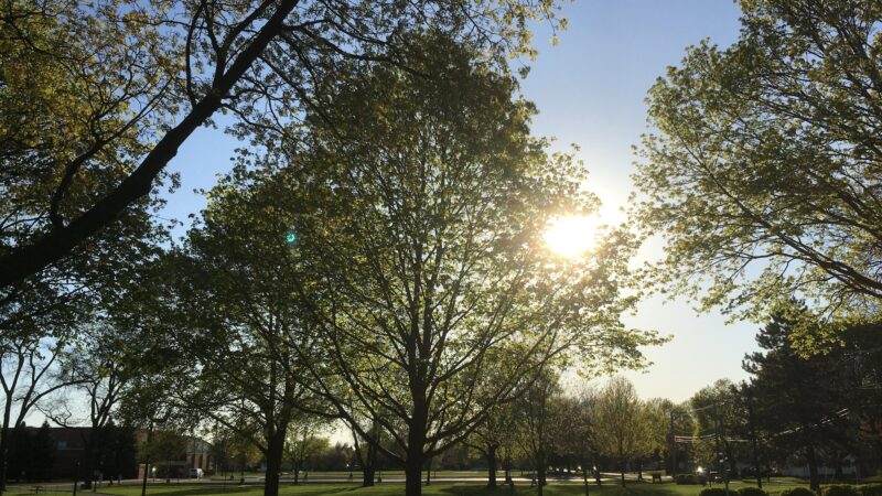 Cronin Park - Arlington Heights, IL