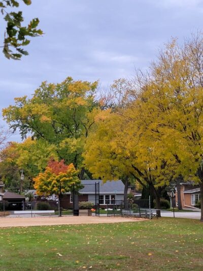 Berbecker Park - Arlington Heights, IL