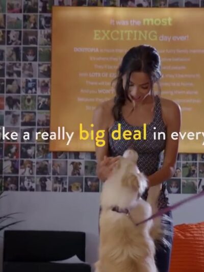 Dogtopia of Arlington Heights - Arlington Heights, IL