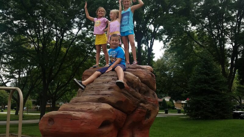 Evergreen Park - Arlington Heights, IL