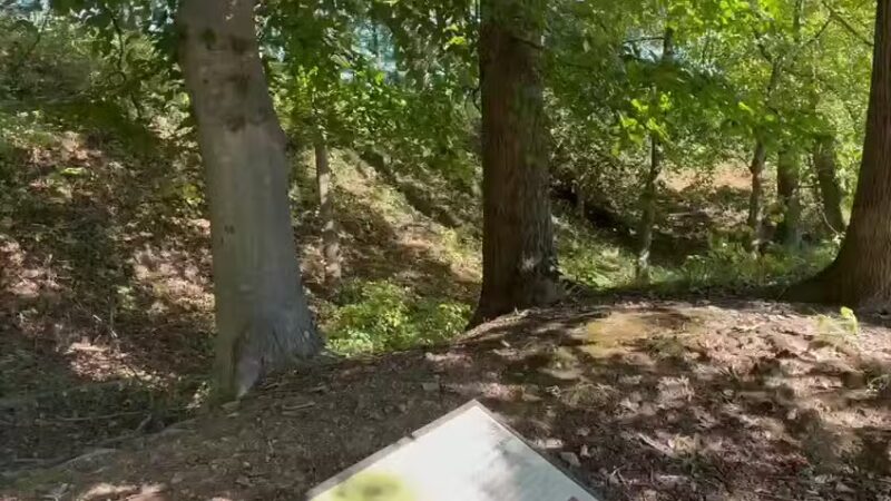 Fort Ethan Allen Park - Arlington, VA