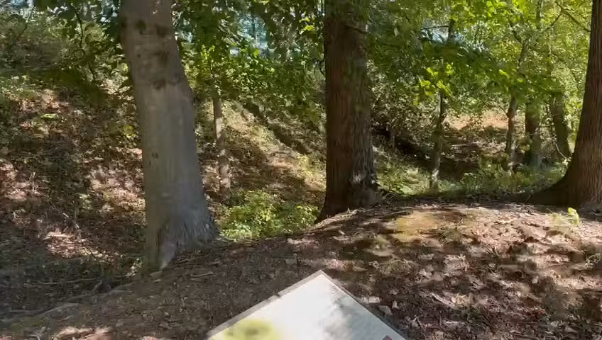 Fort Ethan Allen Park - Arlington, VA