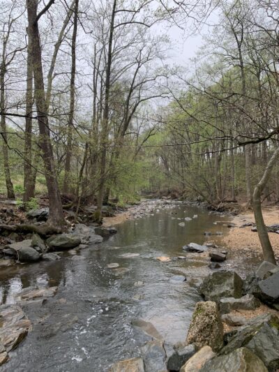 Glencarlyn Park - Arlington, VA