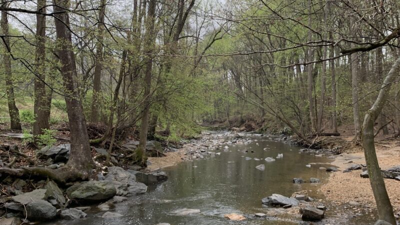 Glencarlyn Park - Arlington, VA