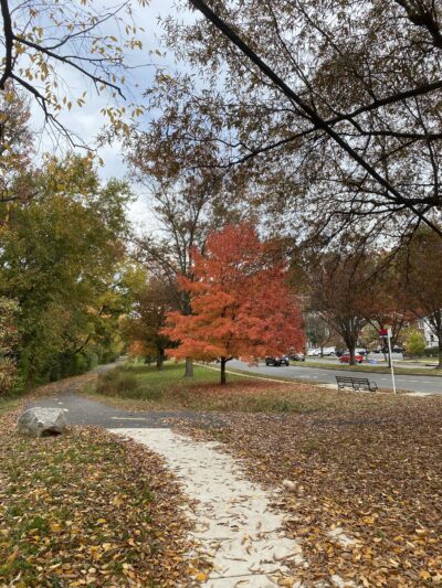 Lucky Run Park - Arlington, VA