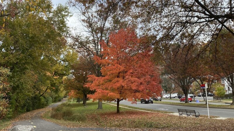 Lucky Run Park - Arlington, VA