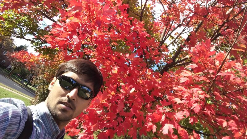 Lucky Run Park - Arlington, VA