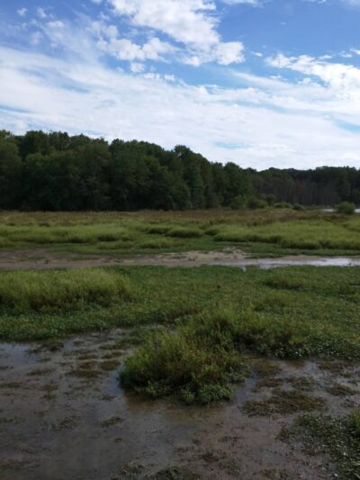 Lucky Run Park - Arlington, VA