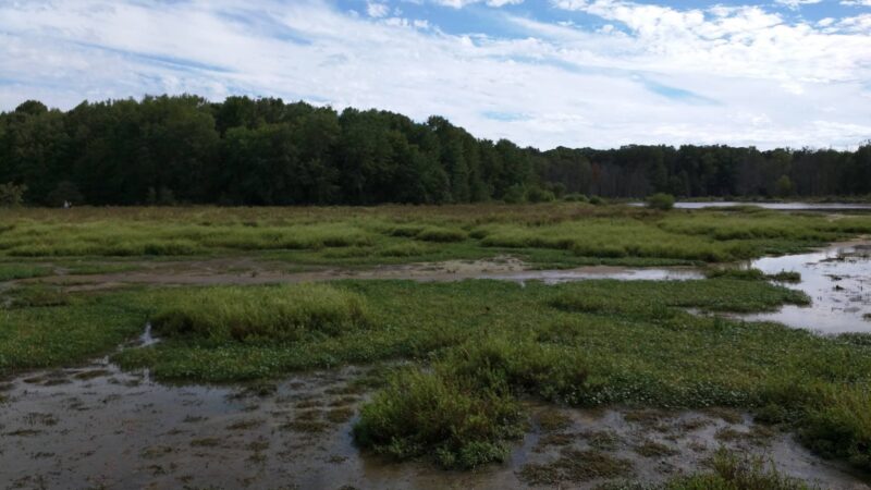 Lucky Run Park - Arlington, VA