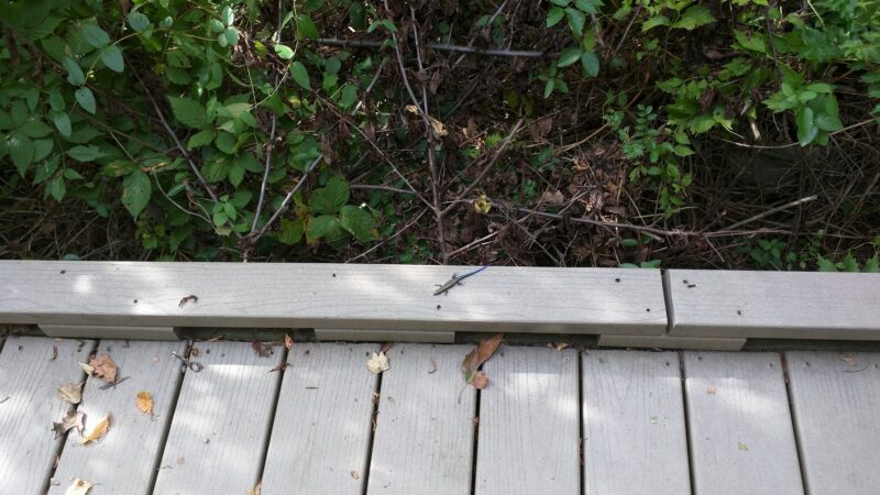 Lucky Run Park - Arlington, VA