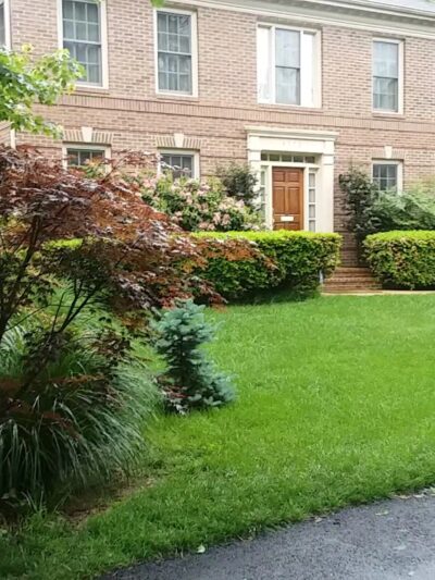 Woodlawn Park - Arlington, VA