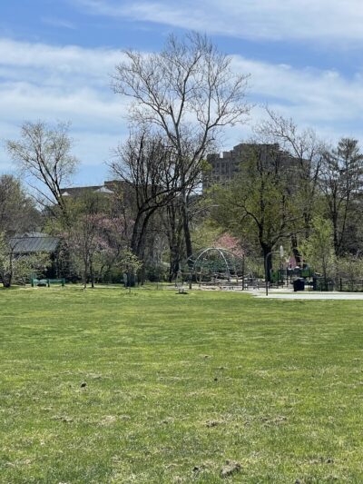Woodlawn Park - Arlington, VA