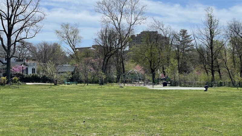 Woodlawn Park - Arlington, VA