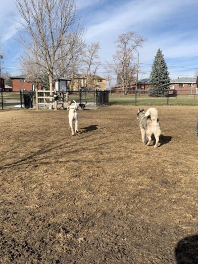 Terrace Park - Arvada, CO