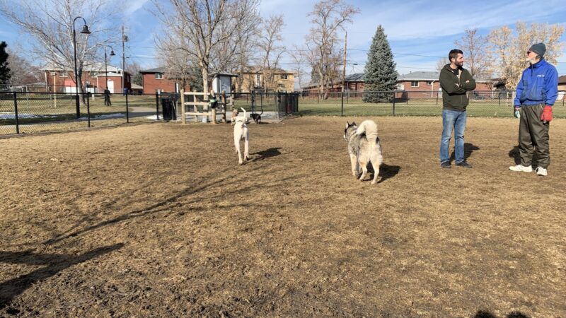 Terrace Park - Arvada, CO