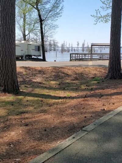 COTTONSHED PARK (AR) - Ashdown, AR