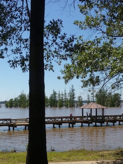 COTTONSHED PARK (AR) - Ashdown, AR